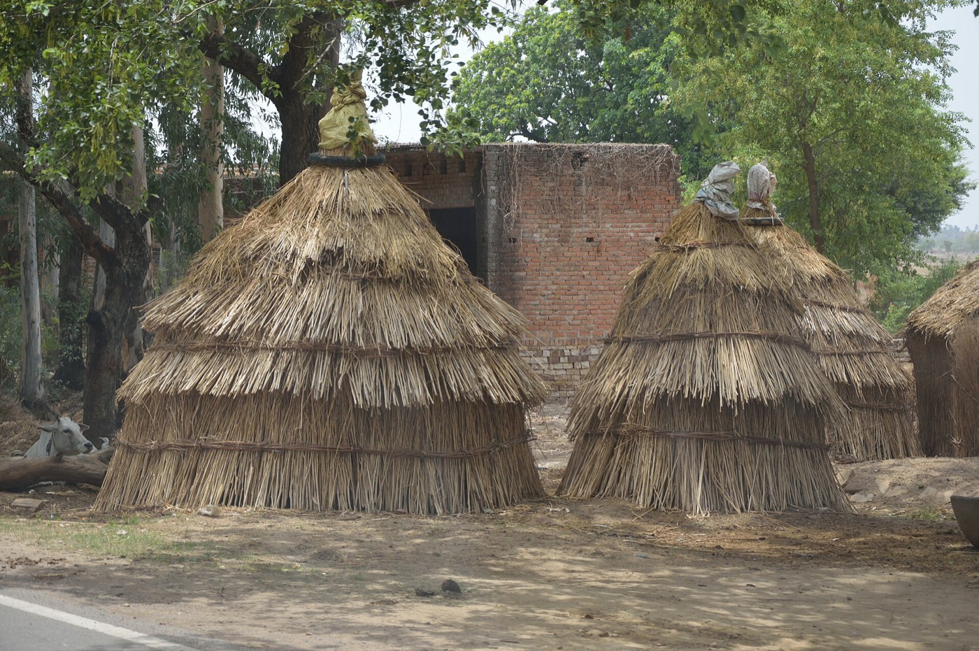 प्रयागराज के बारा में गाँव की अनाज कोठियाँ, 2014 की तस्वीर। धारा 24 की छूट उसी बीज पर लगती है जो किसान ने ख़ुद उगाया हो और अपने ही परिसर से सीधे किसी और को दिया हो