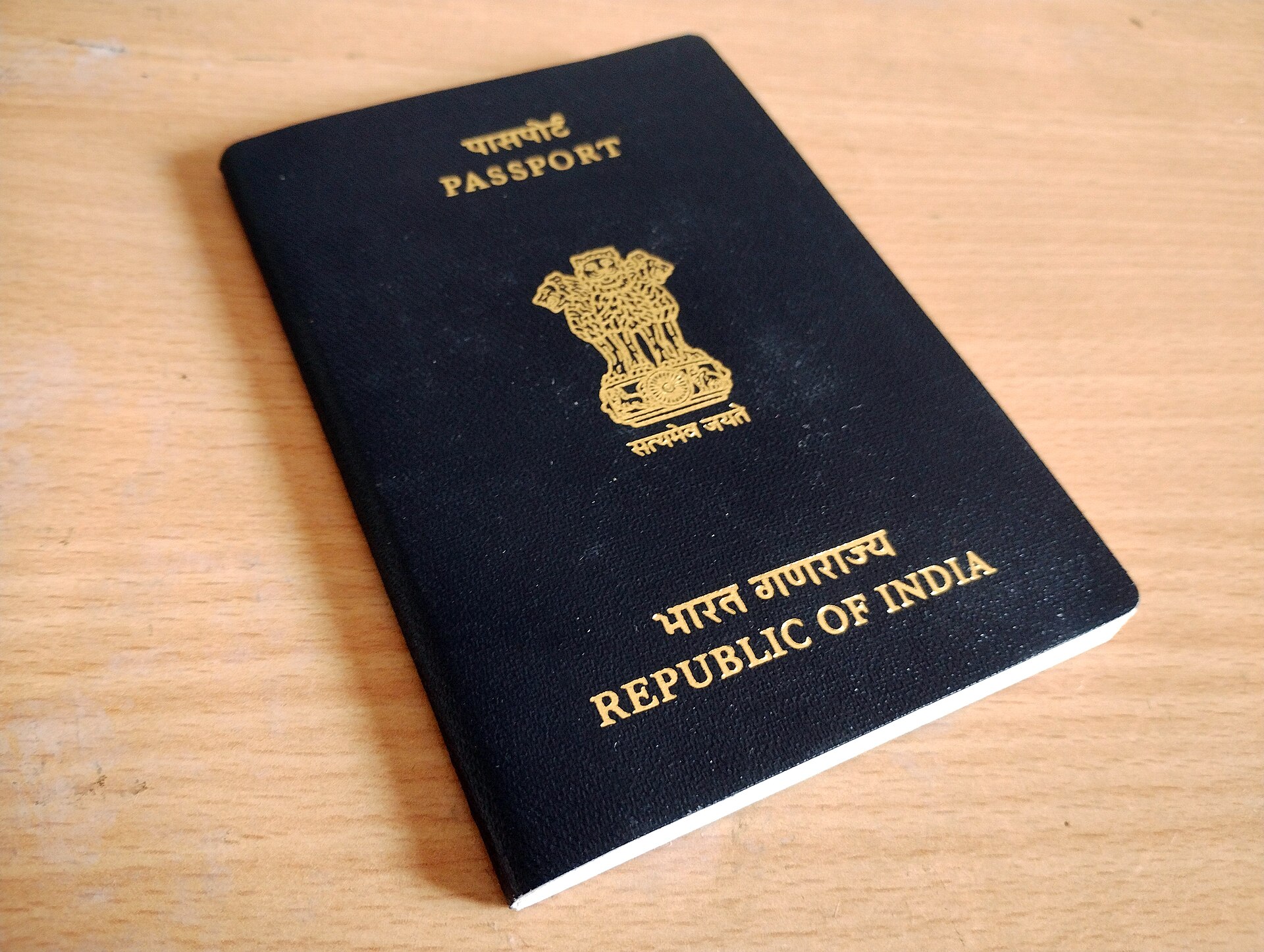 एक भारतीय पासपोर्ट, बारह स्वीकृत दस्तावेज़ों में से एक। न कोई नाम, न कोई नंबर पढ़ा जा सकता है, सिर्फ़ वह दस्तावेज़ जिसकी माँग नोटिस के जवाब में हो सकती है