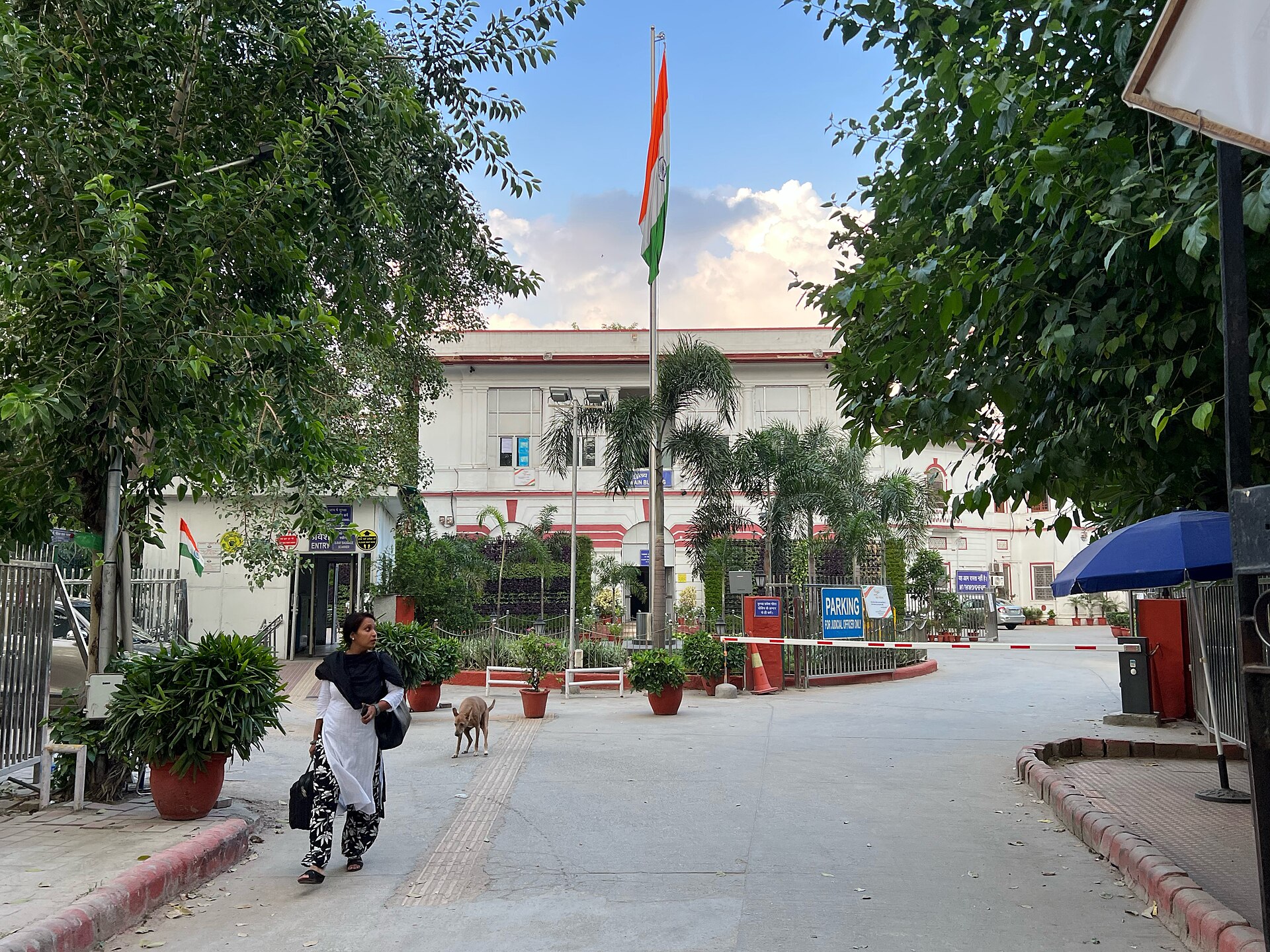 पटियाला हाउस स्थित दिल्ली की ज़िला अदालतों का मुख्य द्वार। यह राउज़ एवेन्यू या तीस हज़ारी नहीं है, पर सातों नाम इसी स्तर की अदालतों से आए हैं
