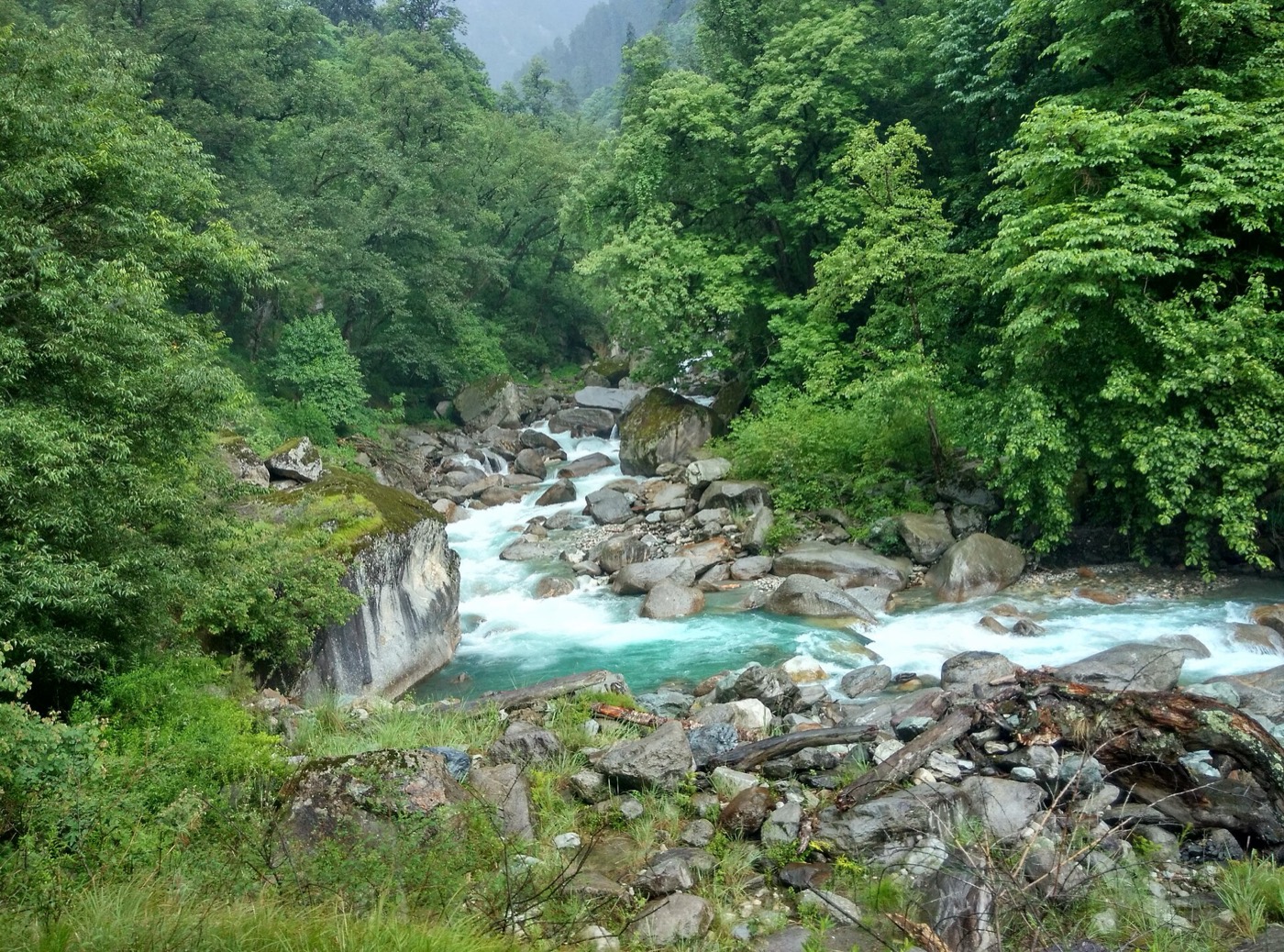 हिमाचल प्रदेश के कुल्लू ज़िले में ग्रेट हिमालयन नेशनल पार्क की सैंज घाटी से गुज़रती सैंज नदी, जून 2016 की तस्वीर; जलविद्युत परियोजनाओं को ऐसी ही वन भूमि के लिए मंज़ूरी लेनी होती है